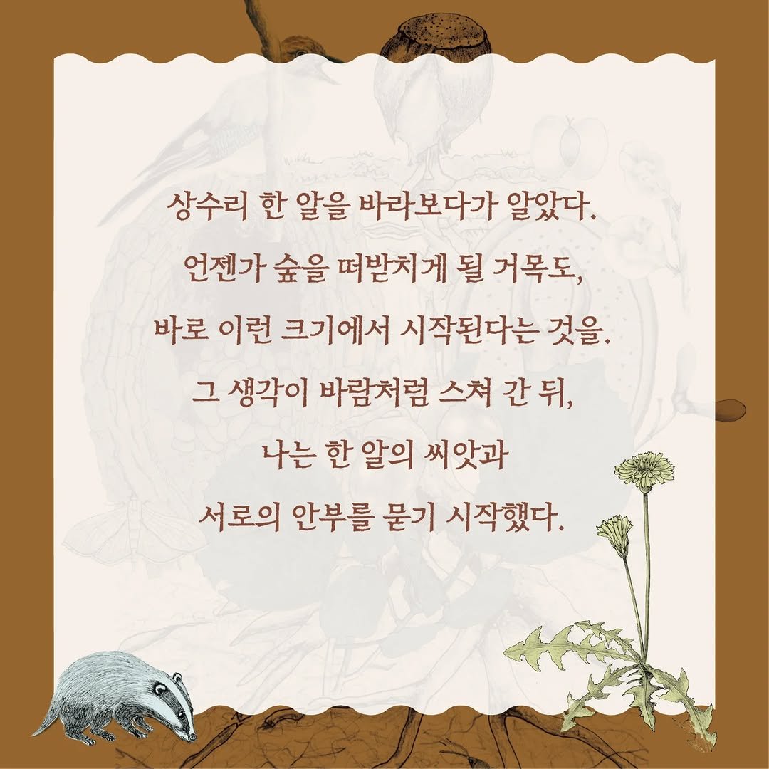 Photo by 책이라는신화 on November 05, 2025. May be an image of text that says '상수리 한 알을 바라보다가 알았다. 언젠가 숲을 떠받치게 될 거목도, 바로 이런 크기에서 시작된다는 것을. 그 생각이 바람처럼 스쳐 간뒤, 나는 한 알의 씨앗과 서로의 안부를 묻기 시작했다.'.