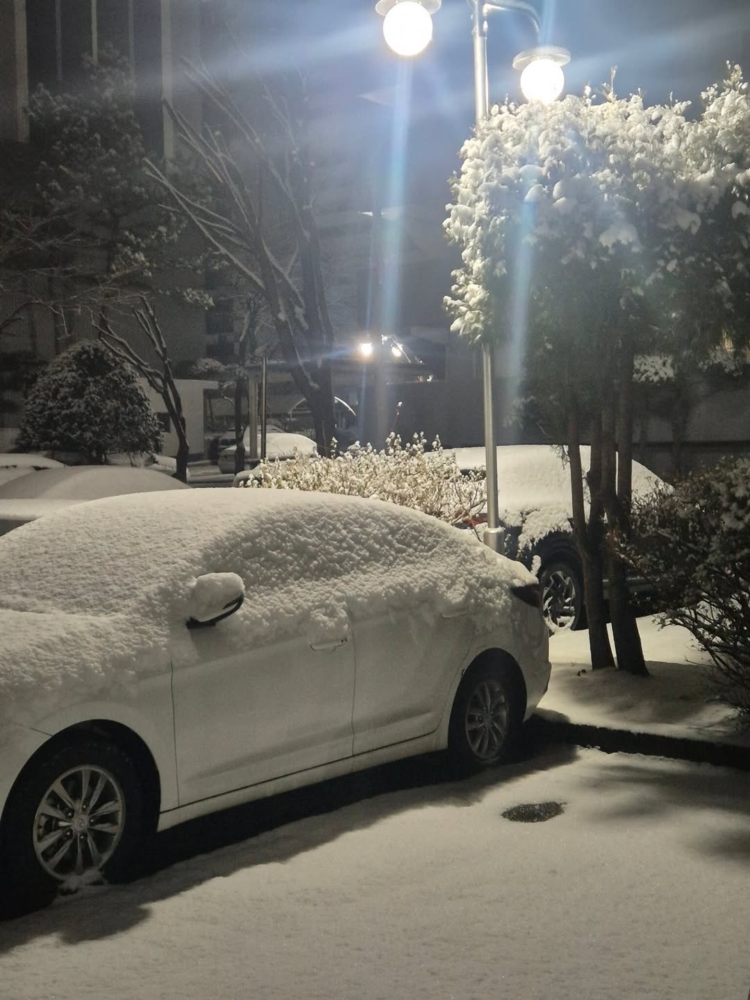 Photo by 책이라는신화 on February 05, 2026. May be an image of snow, lamppost and text.