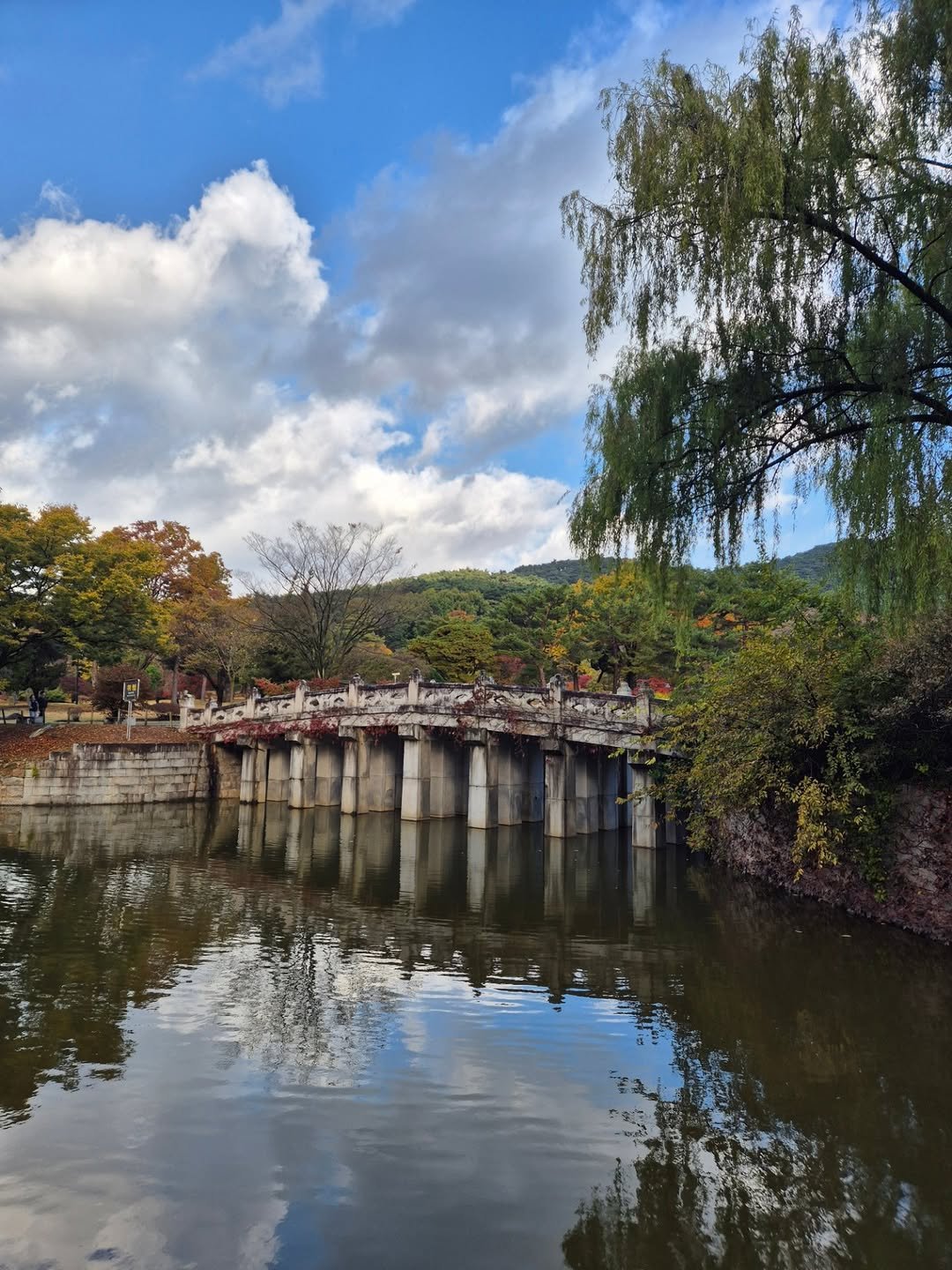 Photo by 책이라는신화 on November 10, 2025. May be an image of bridge and text.