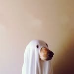 yoongang_bookstore 프로필 사진