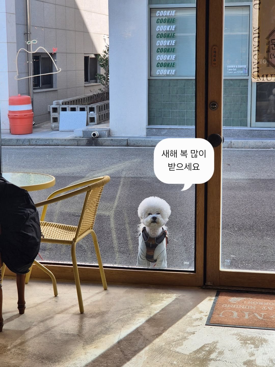 Photo by 책이라는신화 on February 16, 2026. May be an image of Bedlington terrier, Maltese, door and text that says 'COOKIE COOK COOKIE COOKIE COOKIE COOKIE COOKIE COOKIE COOKIE GUUFEE n (ainpw12:00 12:00 MO 새해 복 새해복많이 많이 받으세요 QIV'.