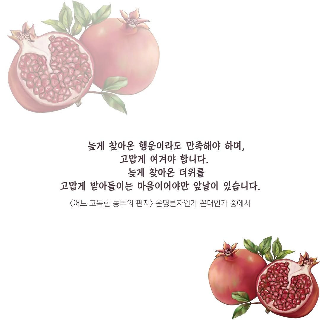 Photo by 책이라는신화 on September 09, 2025. May be an image of pomegranate, pie and text that says '늘게 찾아온 행운이라도 만족해야 하며, 고맙게 여겨야 합니다. 늦게 찾아온 더위를 고맙게 받아들이는 마음이어야만 앞날이 있습니다. <어느 고독한 농부의 편지> 운명론자인가 꼰대인가 중에서'.
