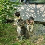 readingj_0 프로필 사진