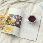 prunbook 프로필 사진