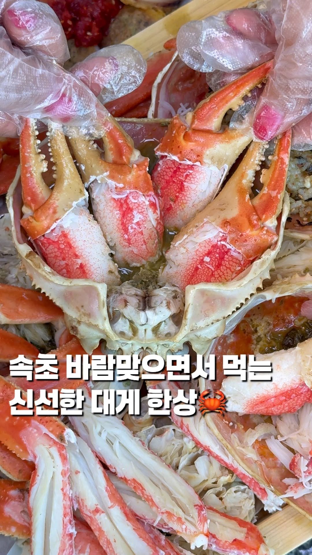 chaenni_ni 게시물 이미지: 속초 바람맞으면서 먹는 신선한 대게 한상

📍속초_#보스대게 

동해하면...