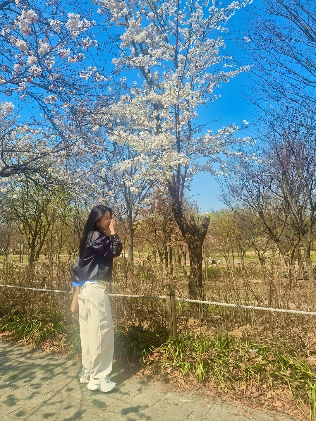 chaeum_consulting 게시물 이미지: “벚꽃이 아름다운 이유는, 때를 기다릴 줄 알기 때문입니다.”

며칠 전까지만 해도...