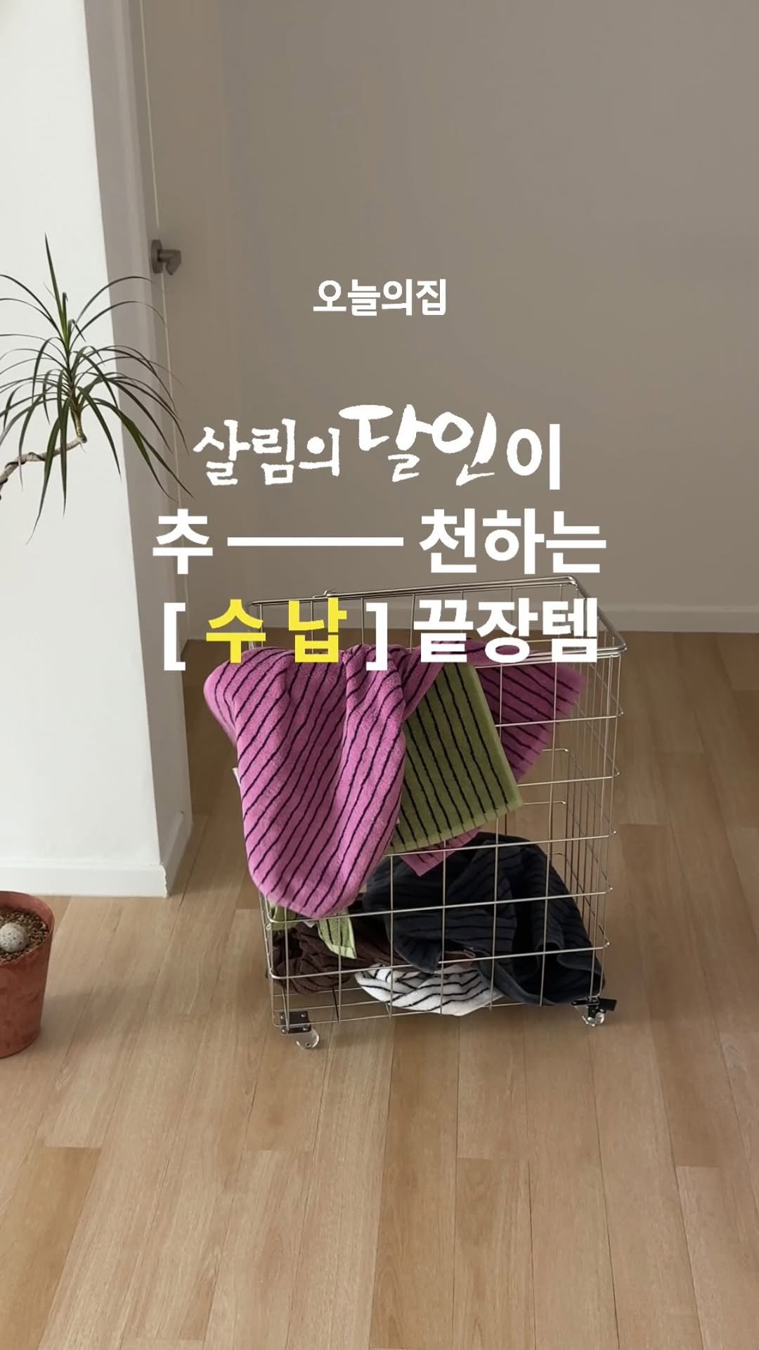 chaezip.home 게시물 이미지: #광고 친구들이 놀러오면 꼭 물어보는
신혼집 꿀템 세 가지 🛒

영상 속...