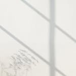 heden___home 프로필 사진