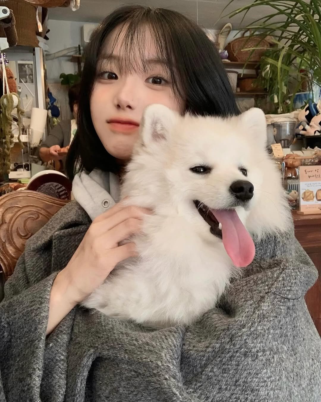 Photo by 차진아 on November 09, 2025. May be an image of Samoyed and text.