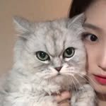 nueisuu 프로필 사진