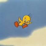 jax0.in 프로필 사진