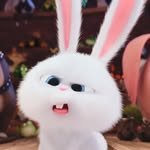 imrongrong._ 프로필 사진