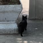 chakangyoon 인스타그램 프로필 사진