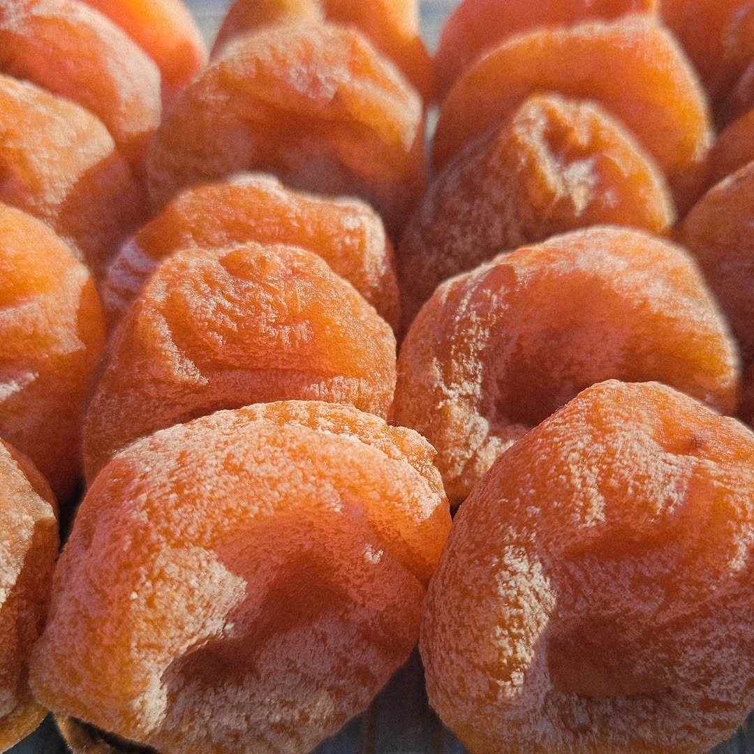 Photo by 찰떡부자 on December 24, 2025. May be an image of text.