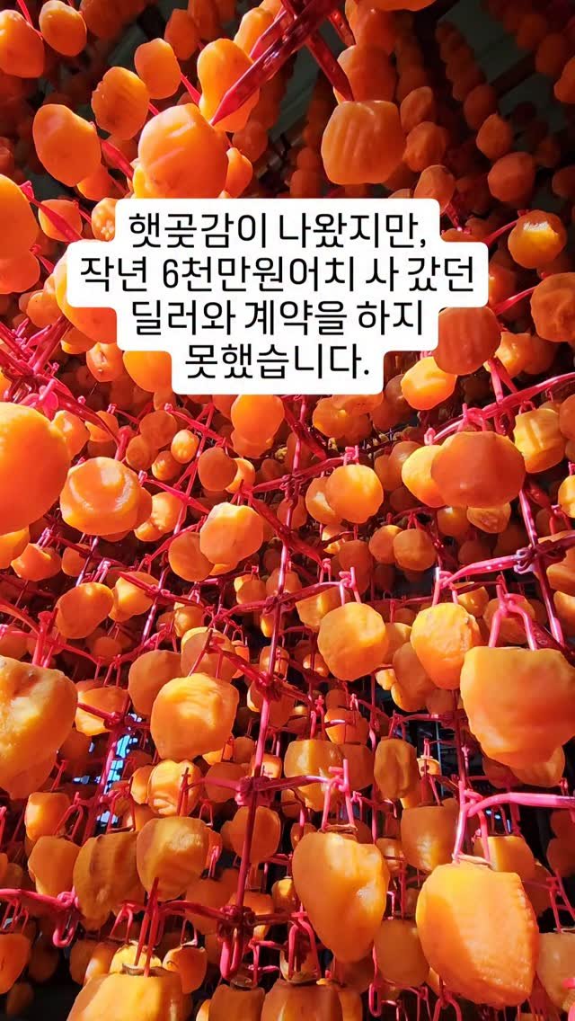 chaldduk_king 게시물 이미지: 어떻게 된 거냐면요...
매년 4~6천만원어치 귀감 곶감을
팔아주던 비중있는...