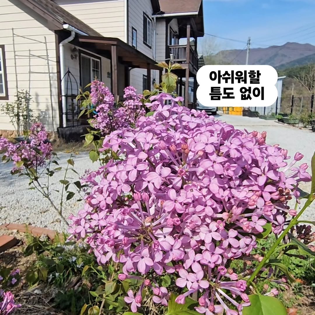 Photo by 찰떡부자 on April 15, 2026. May be an image of text that says '아쉬워할 틈도없이 틈도 없이'.