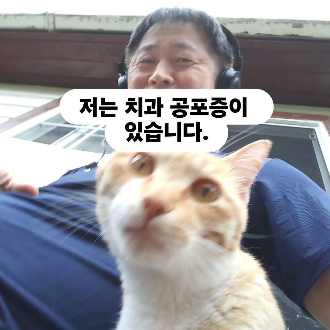 chaldduk_king 게시물 이미지: 치과에만 가면 괜히 주눅이 든다.

어금니가 시리고 아팠지만
좀 참으면 괜찮아지겠지...