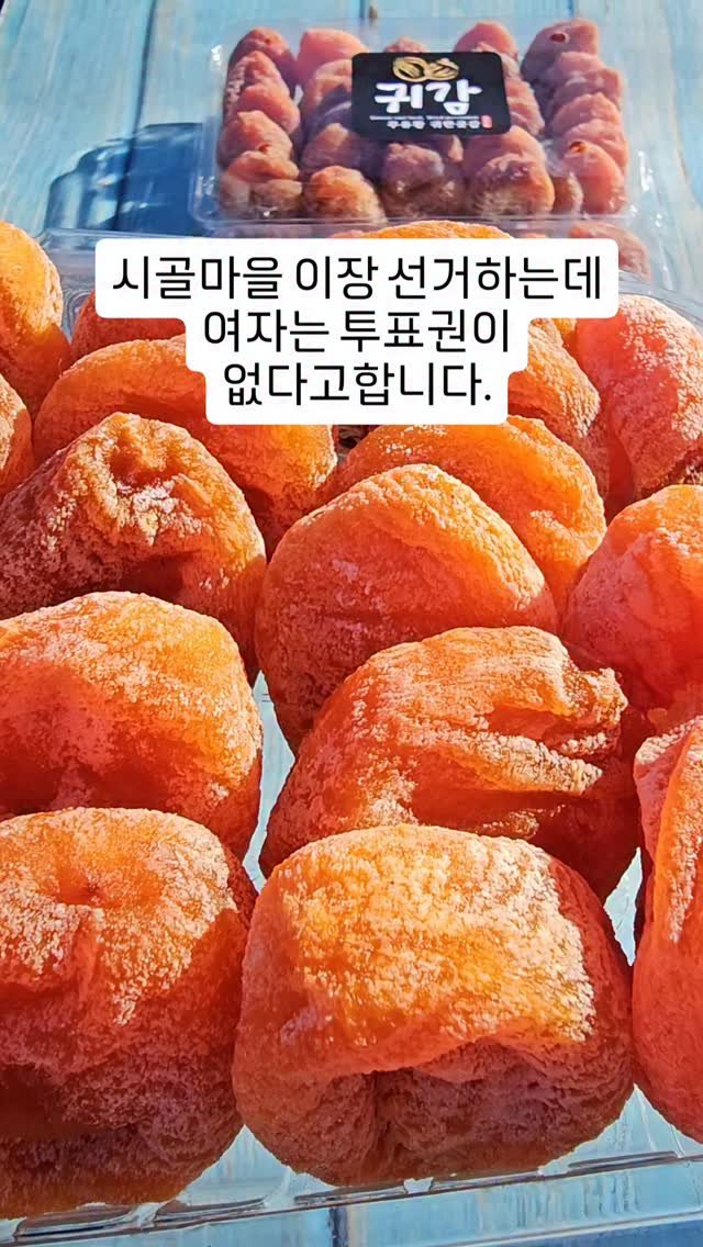 chaldduk_king 게시물 이미지: 여러분이 사는 마을은 어떻습니까?
또 어떤 마을은 가구당 한 표만
투표할 수...