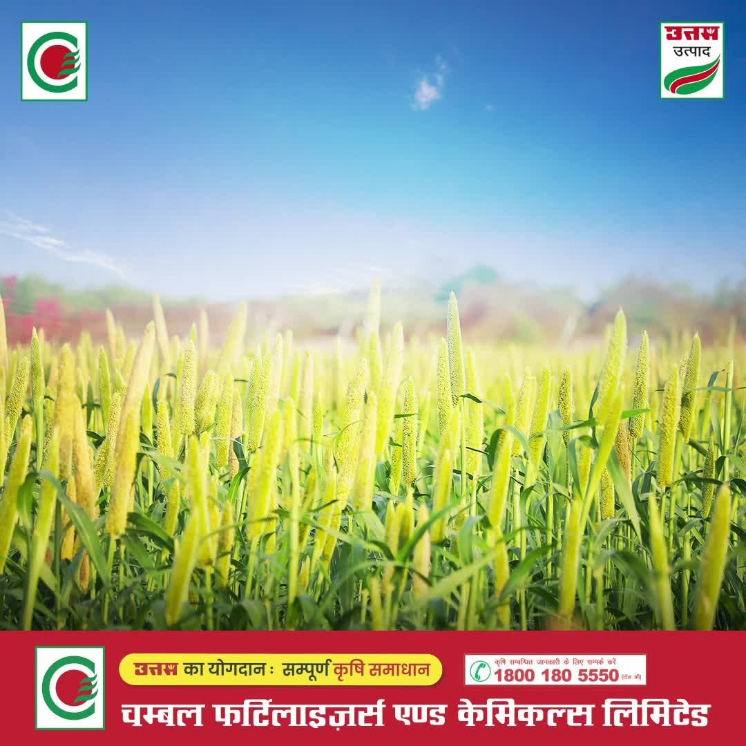 chambal.social 게시물 이미지: बेहतर फसल की उम्मीद को दीजिए भरोसे की मज़बूत...