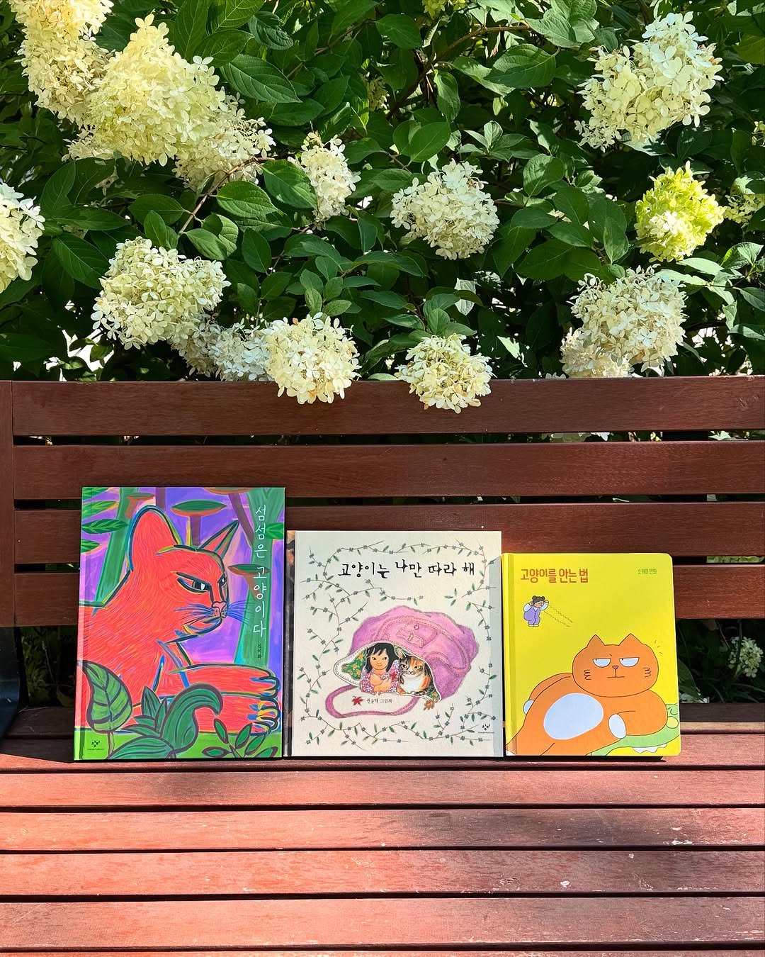 Photo shared by 창비 그림책 on August 08, 2025 tagging @_skye_0.0. May be an image of rhinoceros, elephant, sparrow and text that says '크떡 T र्र. 은 고양비는 나만 해 고양미들안는 고양이를 นรย'.