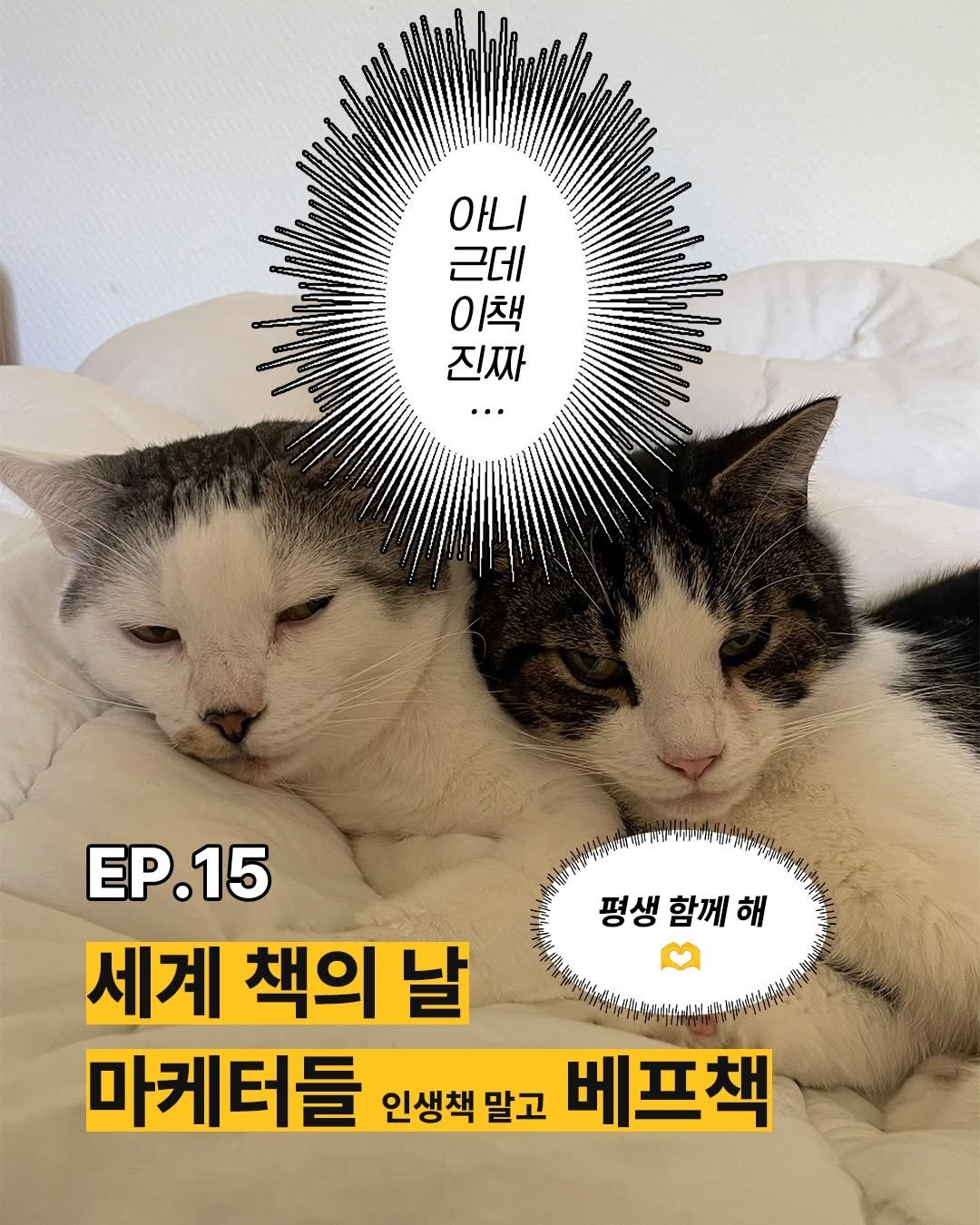 Photo by 창비 on April 23, 2026. May be an image of text.