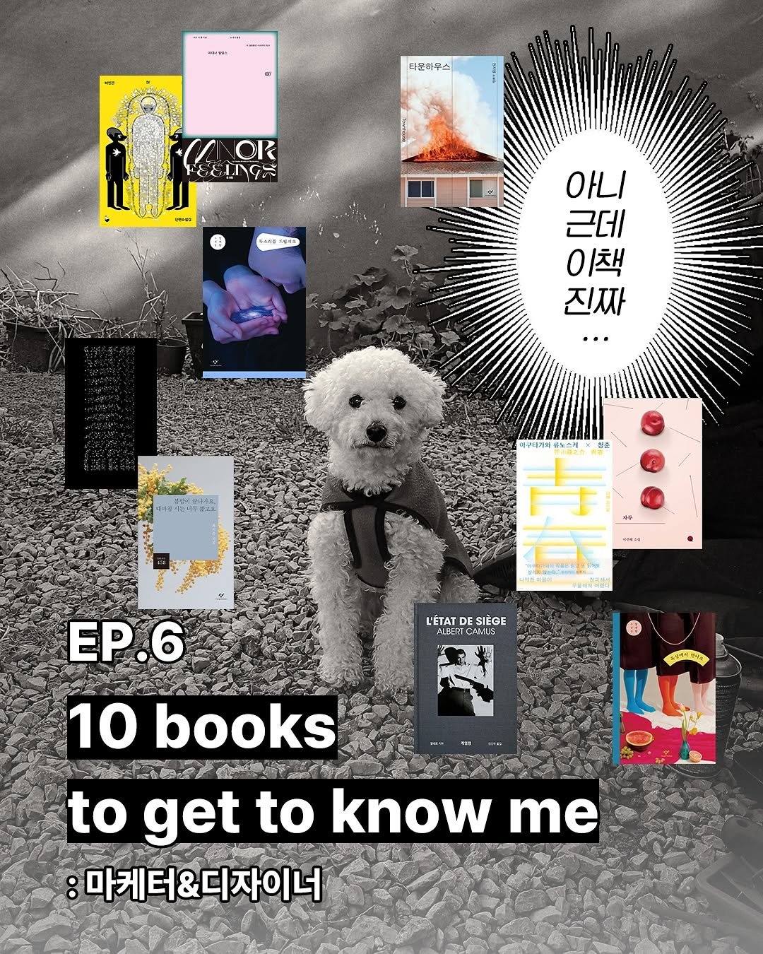 Photo by 창비 on October 30, 2025. May be a graphic of poster, book, magazine and text.