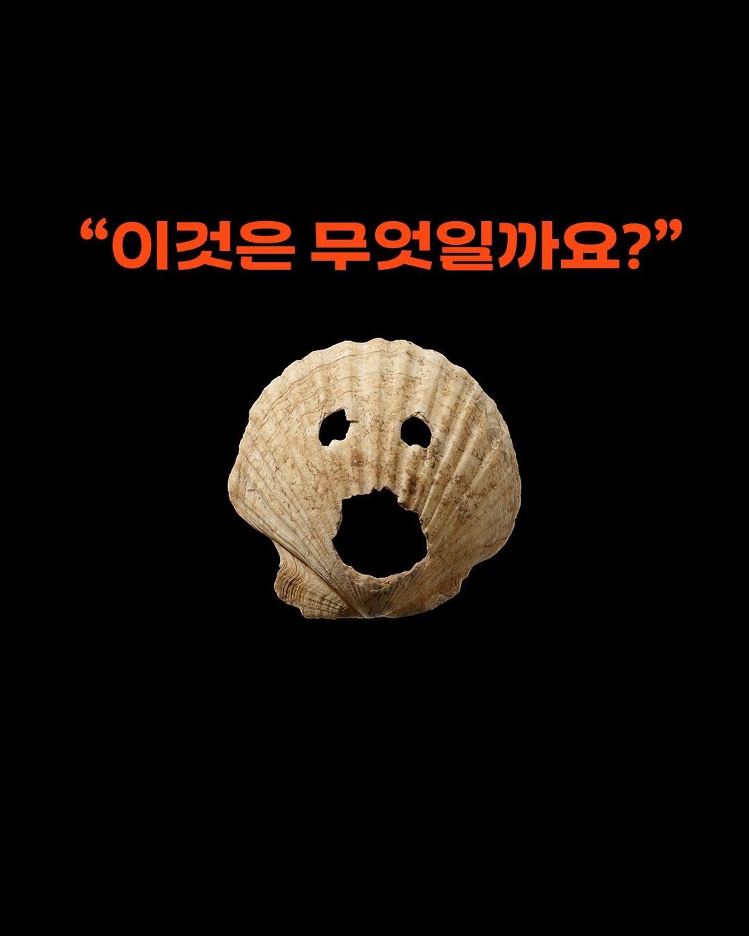 changbi_jr 게시물 이미지: ❝이것은 무엇일까요?❞

조개 껍데기라는 것은
쉽게 알아볼 수 있어요. 🐚

그런데...