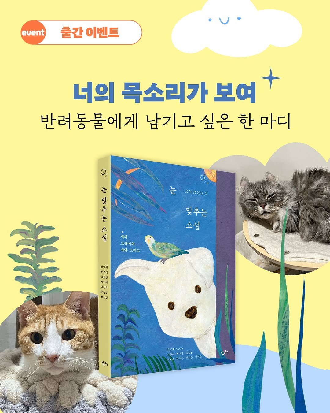 Photo by 창비교육 on August 11, 2025. May be an illustration of magazine, book and text that says 'event 출간 이벤트 너의 목소리가 보여 반려동물에게 남기고 싶은 한 마디 C. ए 눈 맞 추 는 소 설 맞추는 ٢٢٢ كم 소설 በጂ 제와 그많이되 식와 떠로 궁금희 اجیي マさそ 별순주 أ؟ا メススミ ADNOT まう 집비크'.