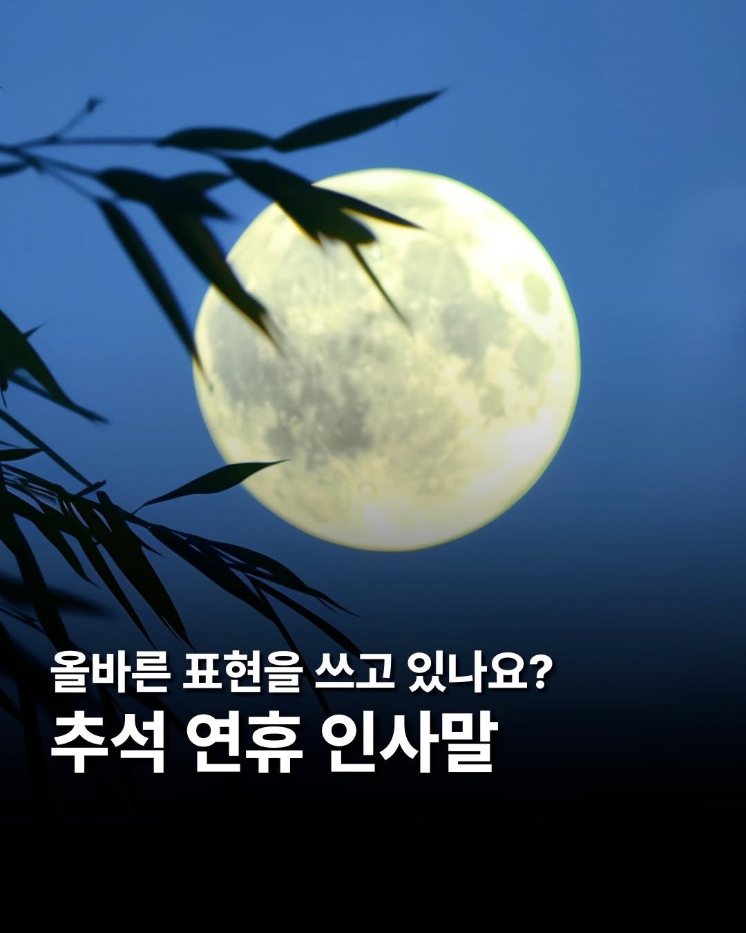 Photo shared by 창비교육 on October 01, 2025 tagging @chaek_git. May be an image of text that says '올바른 표현을 쓰고 있나요? 추석 연휴 인사말'.