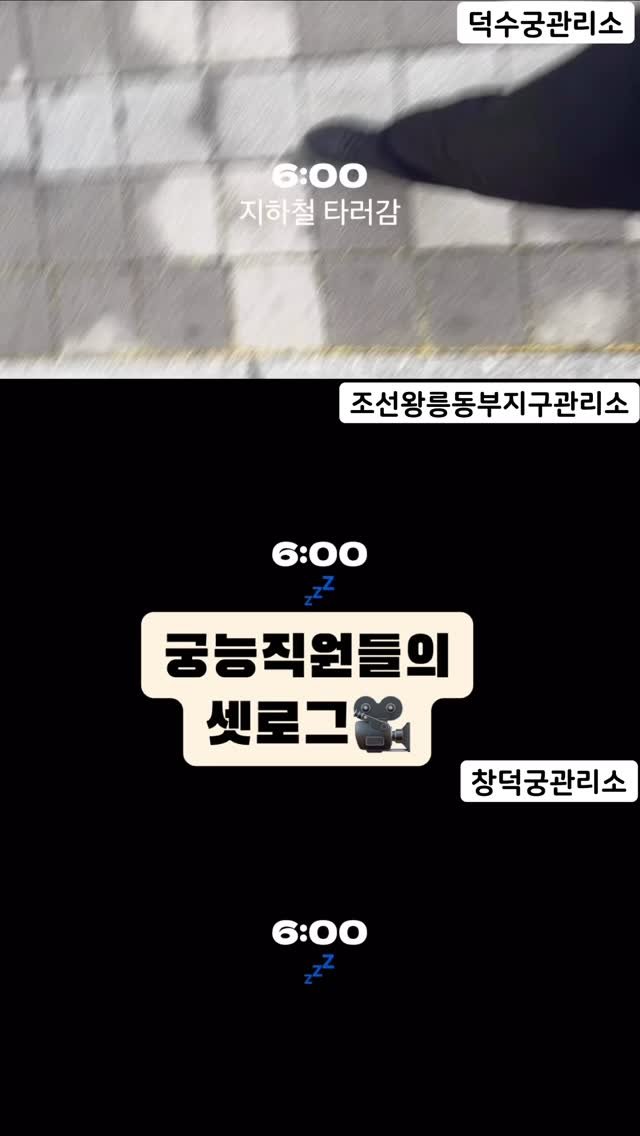 changdeokpalace 게시물 이미지: 🎥🎥🎥
창덕궁, 덕수궁, 조선왕릉동부지구관리소sns담당자
하루를 담은...