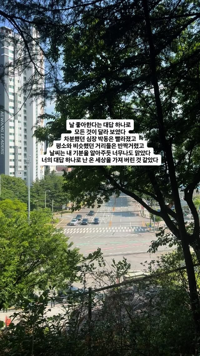 change____mind 게시물 이미지: 모든 게 아름다워 보였다