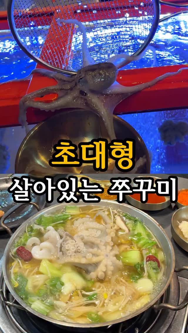 channelbusan 게시물 이미지: EVENT🎁어른들의 두쫀쿠(두뇌 쫀득 쭈쿠미)

🙌🏻 쭈꾸미 좋아한다면
이 메뉴는...