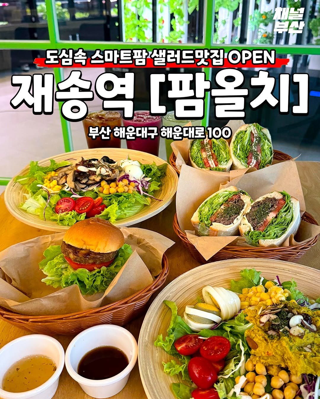 스마트팜 샐러드맛집 부산샐러드맛집 재송동맛집