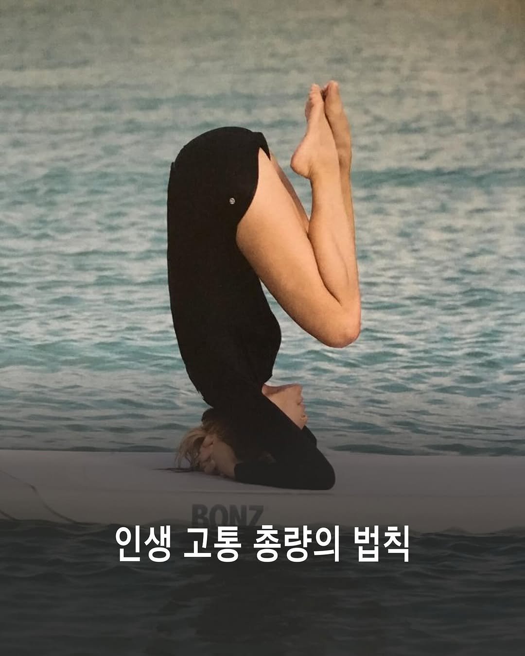 chaosmos_mag 게시물 이미지: 인생의 필연적 고통과 회복탄력성에 대해 - 정치학 박사 김지윤

1. “보통...