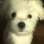 h.zin.2 프로필 사진