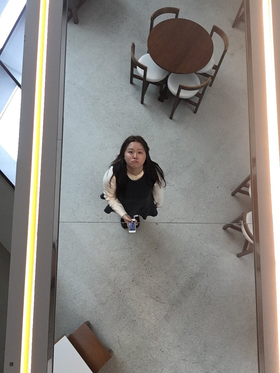 Photo by 찰스 on November 09, 2025. May be an image of cornflower, indoors and text.