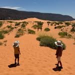 _littlewunders 프로필 사진