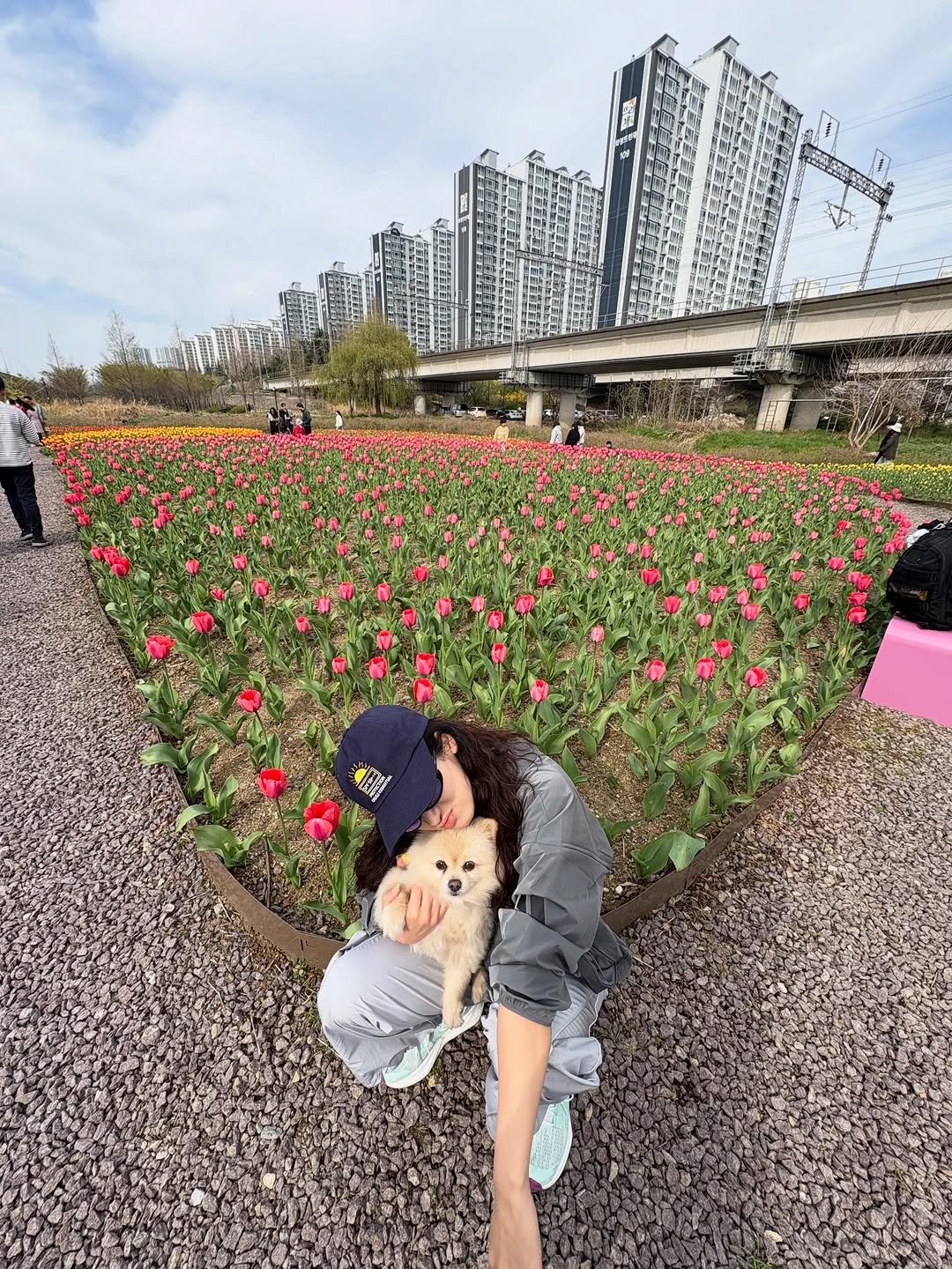 Photo shared by 박주현 on April 12, 2026 tagging @charmgirl_baby. May be an image of rose and text.