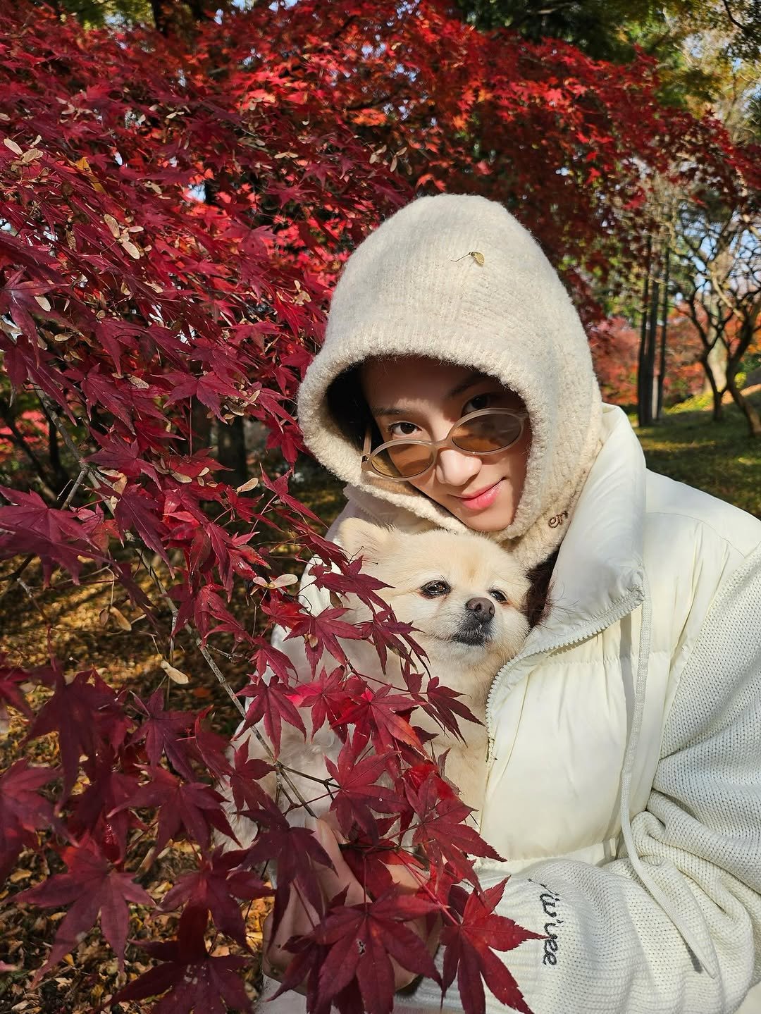 Photo shared by 박주현 on December 07, 2025 tagging @charmgirl_baby. May be an image of Pekinese, Norwich terrier and parka.