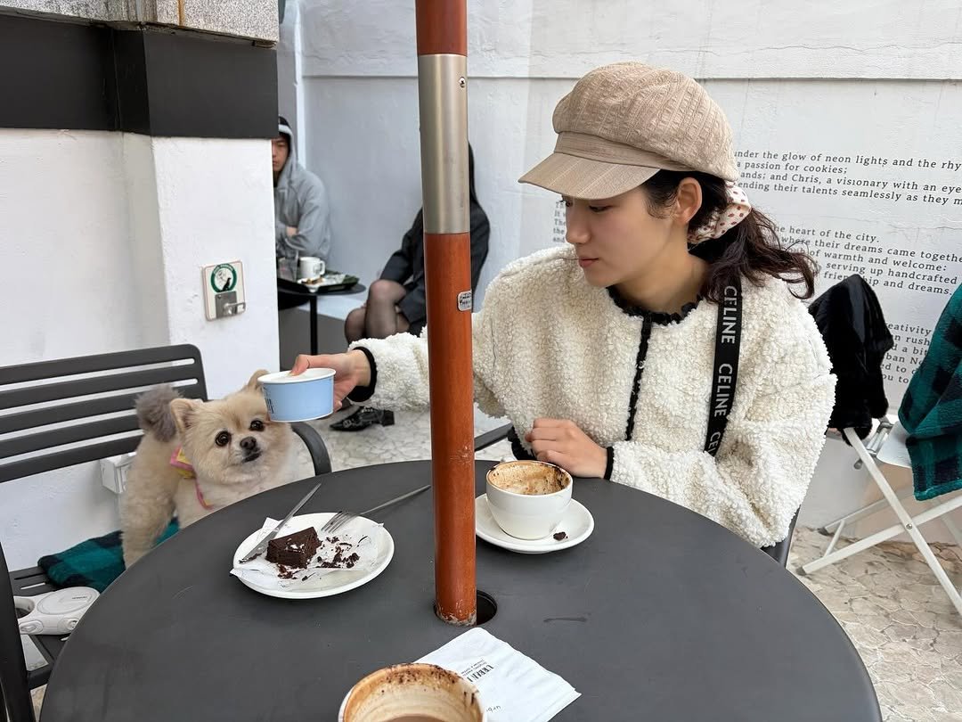 Photo by 박주현 on March 10, 2026. May be an image of Maltese, duffle coat, turtleneck, beret, pie, cornflower and text.