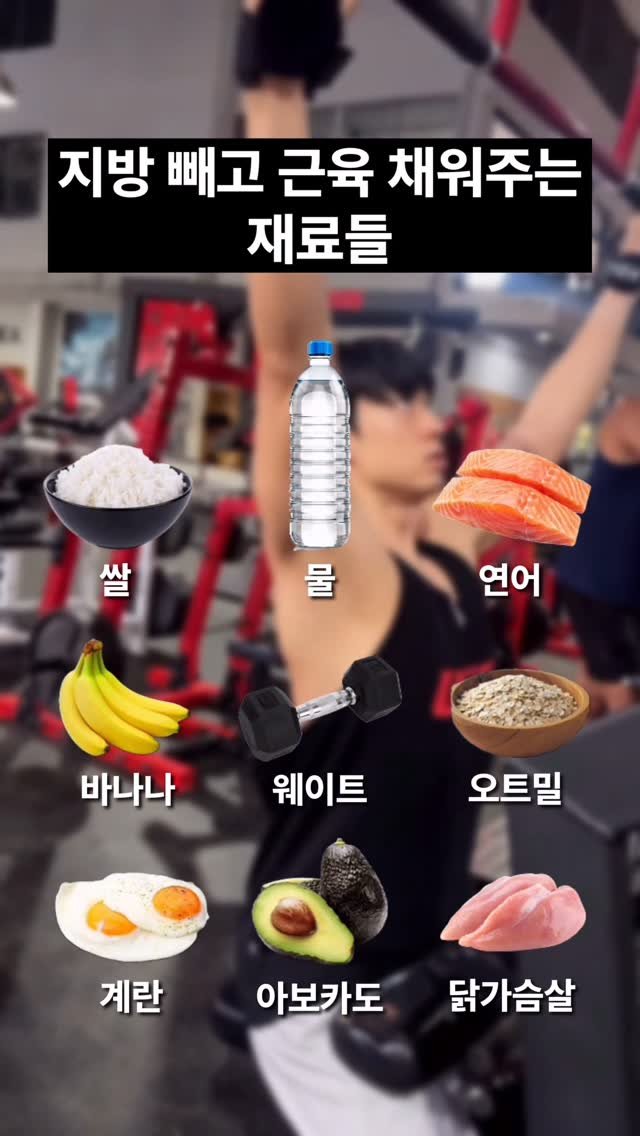 charr02__ 게시물 이미지: 살 빼면서 근육까지 만들고 싶다면❓

저도 처음엔 그냥 굶고 운동하면 되는 줄...