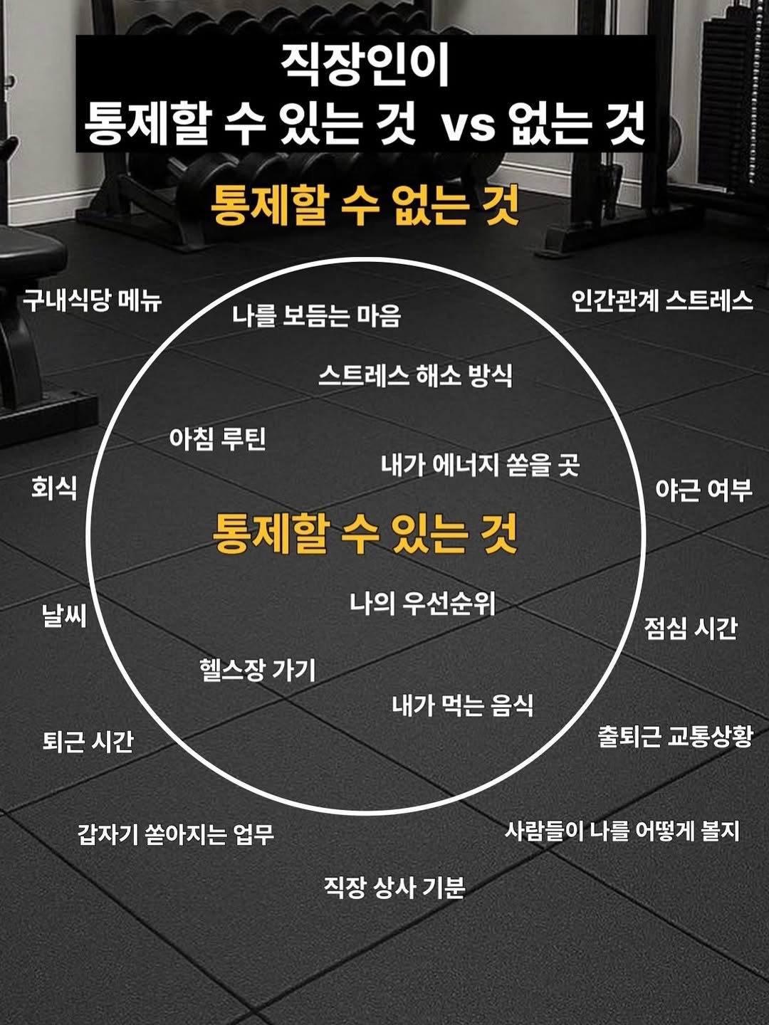 Photo by 차르 | 현실적인 운동•다이어트 on March 05, 2026. May be an image of sports equipment and text that says '직장인이 통제할 수 있는 것 vs 없는 것 통제할 수 없는 것 구내식당 메뉴 나를 보듬는 마음 인간관계 스트레스 스트레스 스트레스해소방식 해소 방식 아침 루틴 회식 내가 에너지 쏟을 곳 통제할 수 있는 것 나의 우선순위 날씨 야근 여부 헬스장 가기 퇴근 시간 점심 시간 내가 먹는 음식 갑자기 쏟아지는 업무 출퇴근 출퇴근교통상황 교통상황 사람들이 나를 어떻게 볼지 직장 상사기분 상사 기분'.