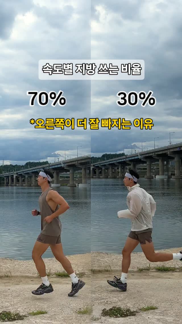 chatgnitee 게시물 이미지: 살 빼려고 느린 속도(존2)로 운동하는데 왜 살이 안빠질까?

​실제 내 몸의...