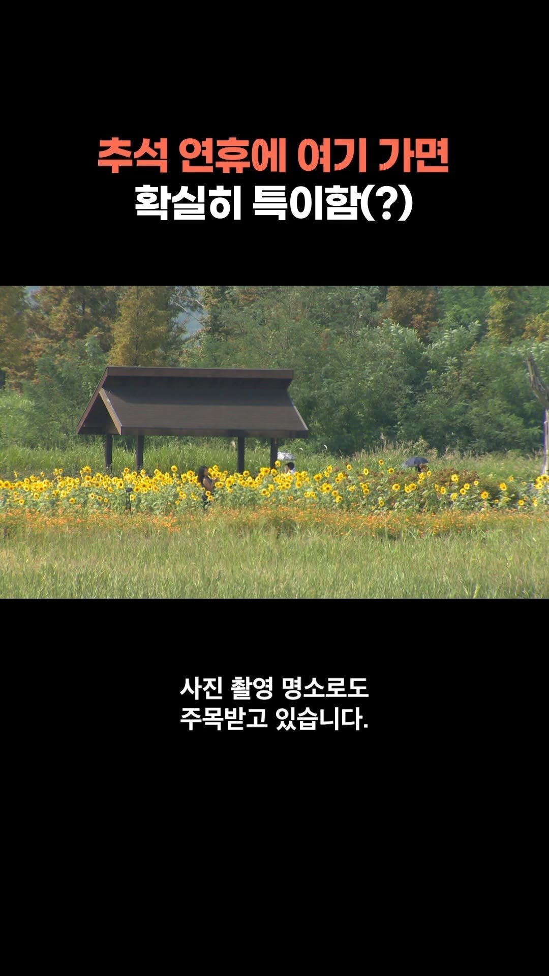 chbtvnews_official 게시물 이미지: 2025년 9월 30일 (화) 경기 주요 뉴스
추석 연휴 서울 근교, 경기 가볼...