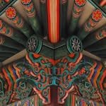 waoak.seoul 프로필 사진