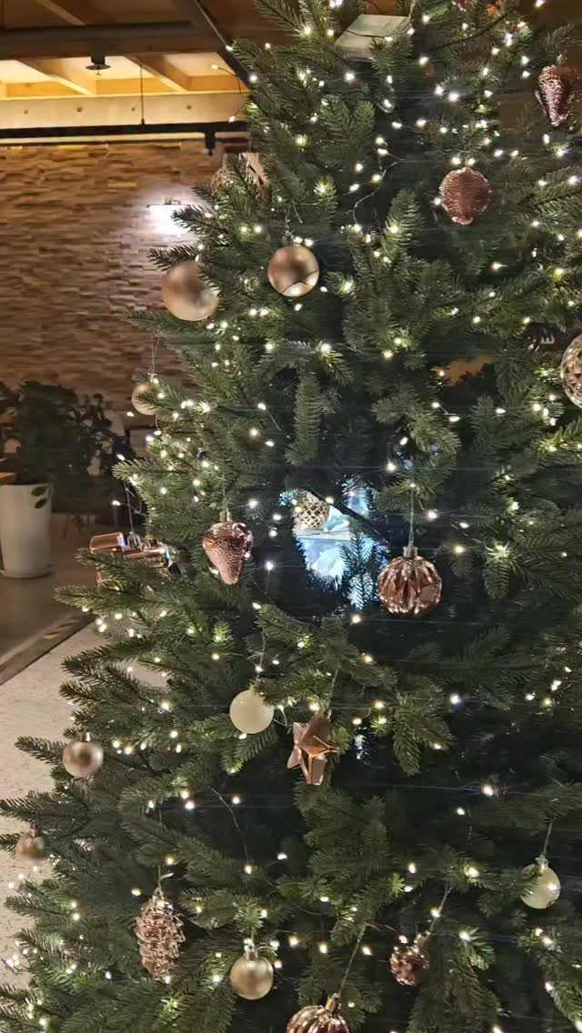 check_grow 게시물 이미지: 채그로에 크리스마스가 오면~♡
#채그로 #마포카페 #연말분위기 #석양맛집 #한강뷰카페