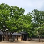 unhyeongung_official 프로필 사진