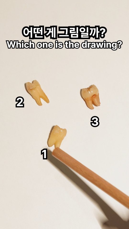 chee_jaeee 게시물 이미지: AI 아닙니다. 직접 그린 겁니다.
#대구365치과 #대구치과 #대구임플란트 #치제이 #치과의사
