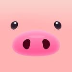 piggukbap 프로필 사진