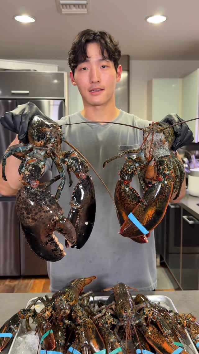 chefboylee 게시물 이미지: Lobster Stock

#lobster #recipe #seafood #chef